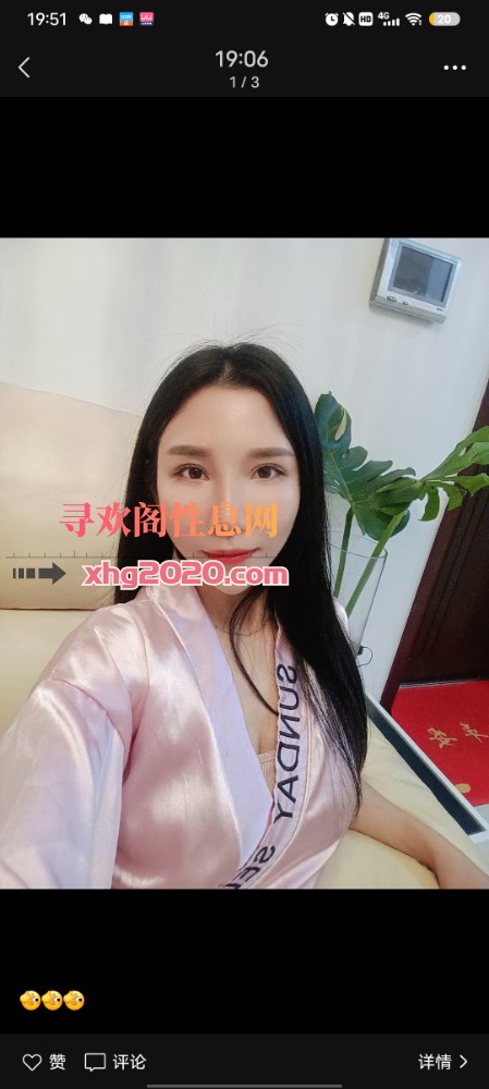 杭州小蜜蜂回来喽