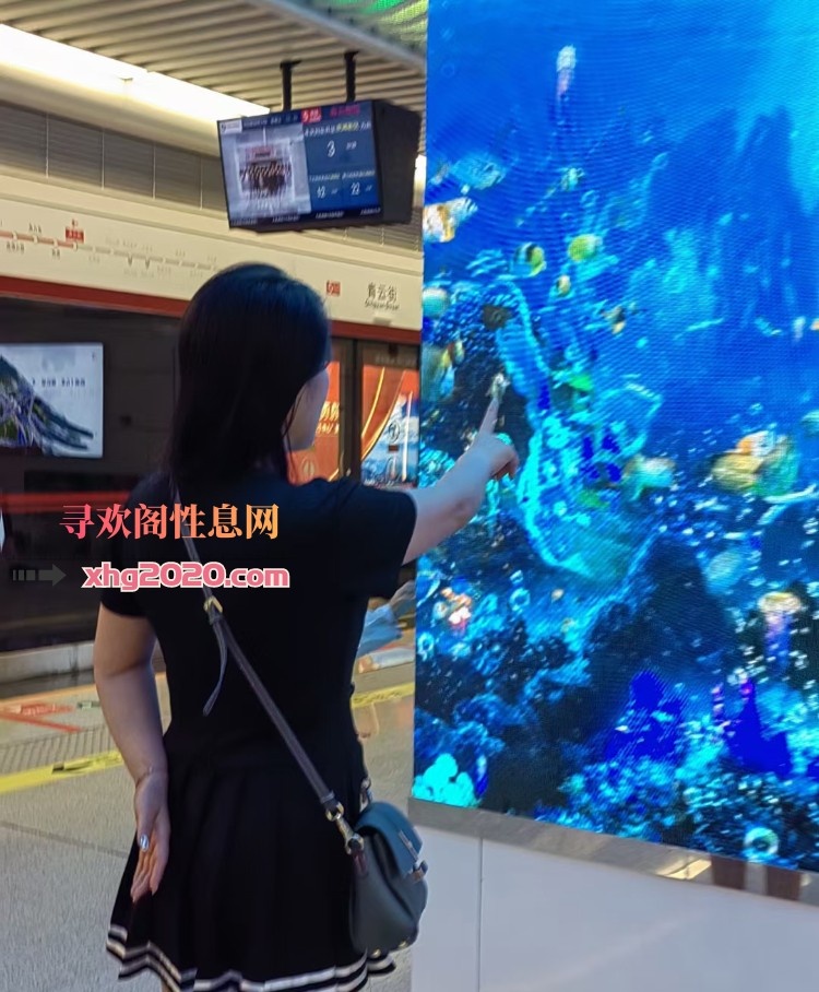 中山莫姐