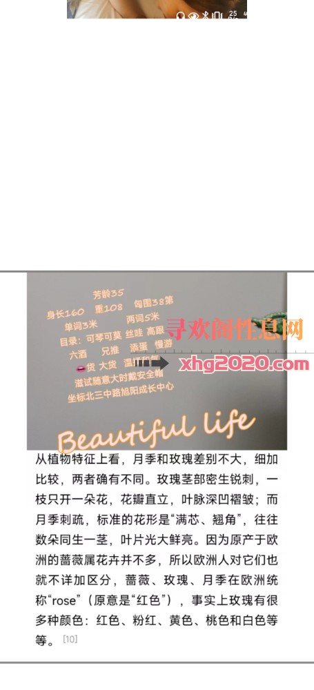 铁西大奶熟女
