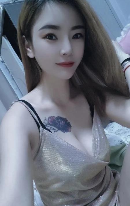 固戍小猫咪