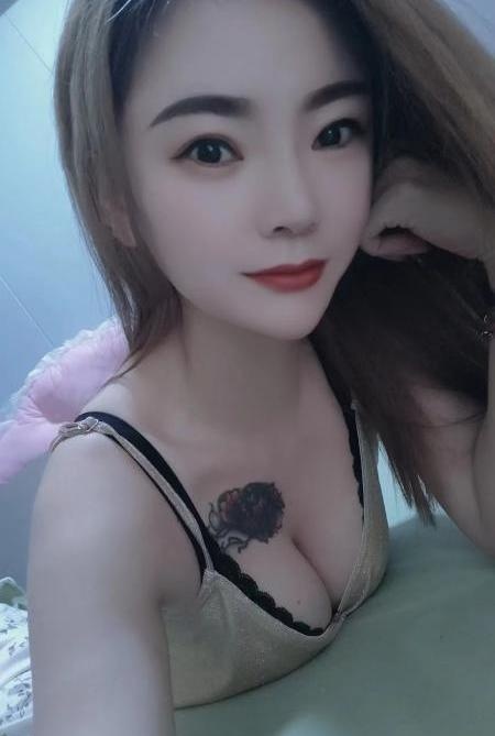 固戍小猫咪