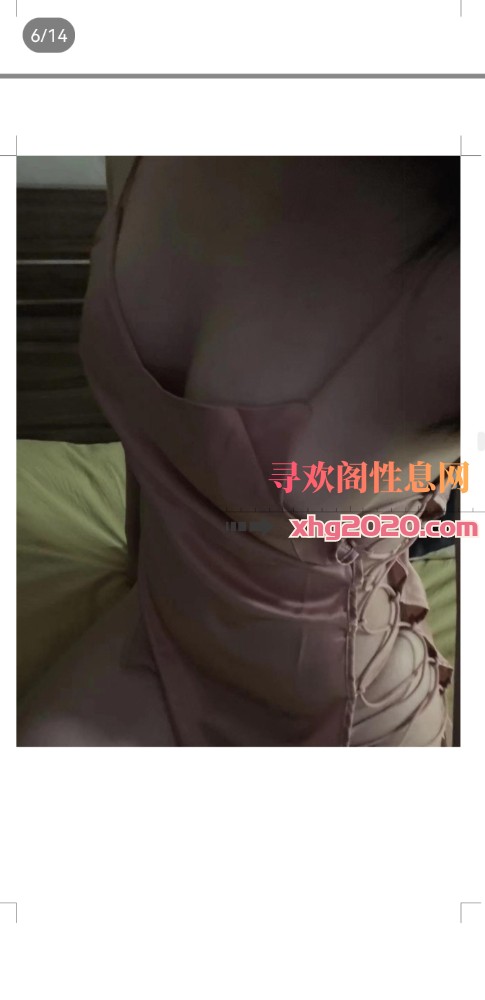 猫柒柒