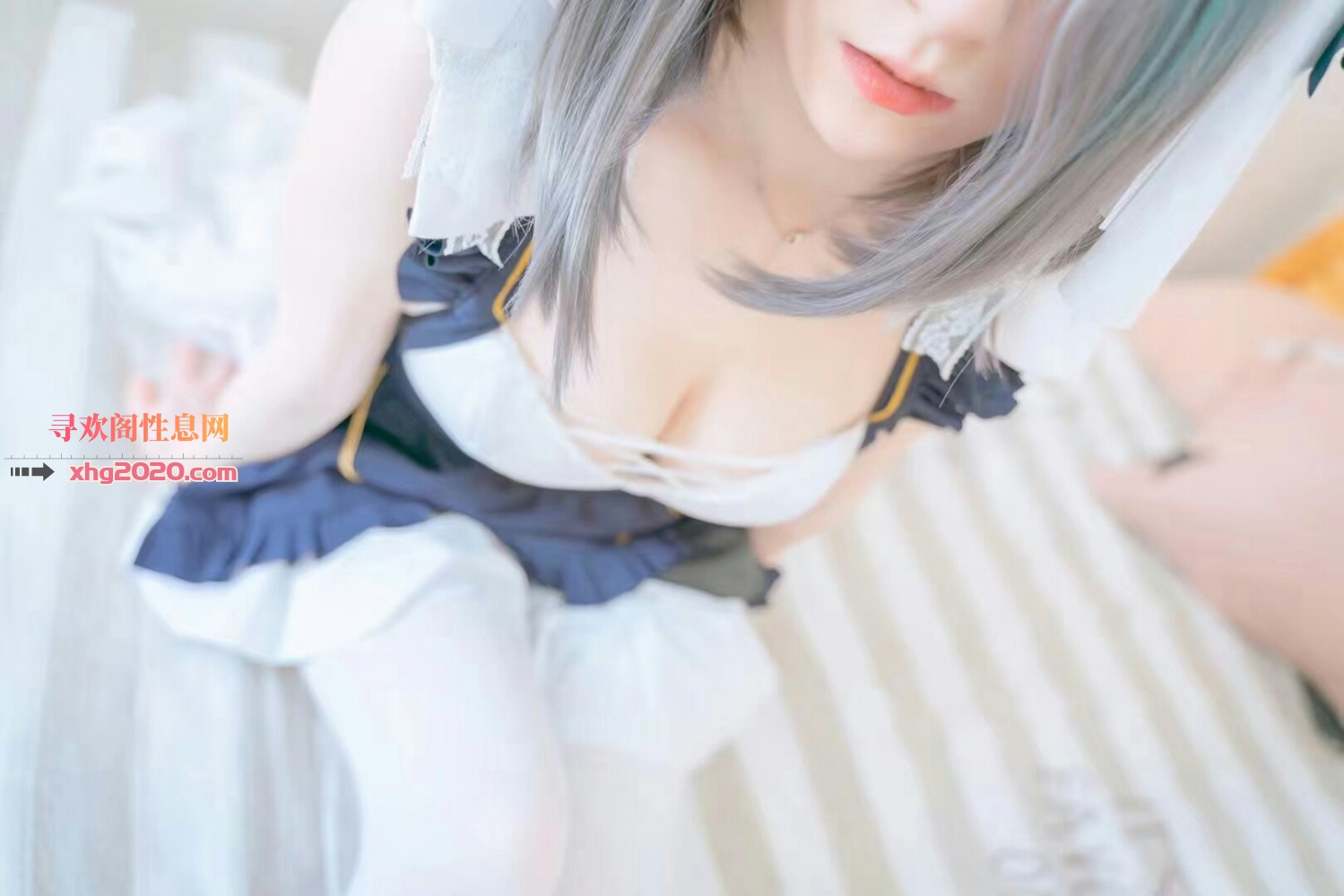 建邺白虎