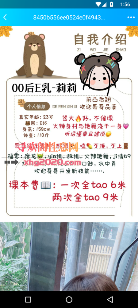 南郊大熊胖妹