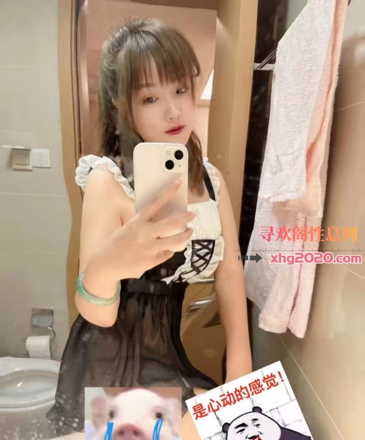 天津河西小野猫