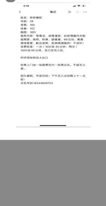 技术流小雅