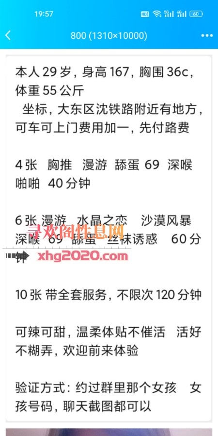 大东洋洋
