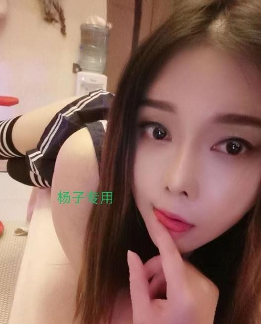 南山杨子服务