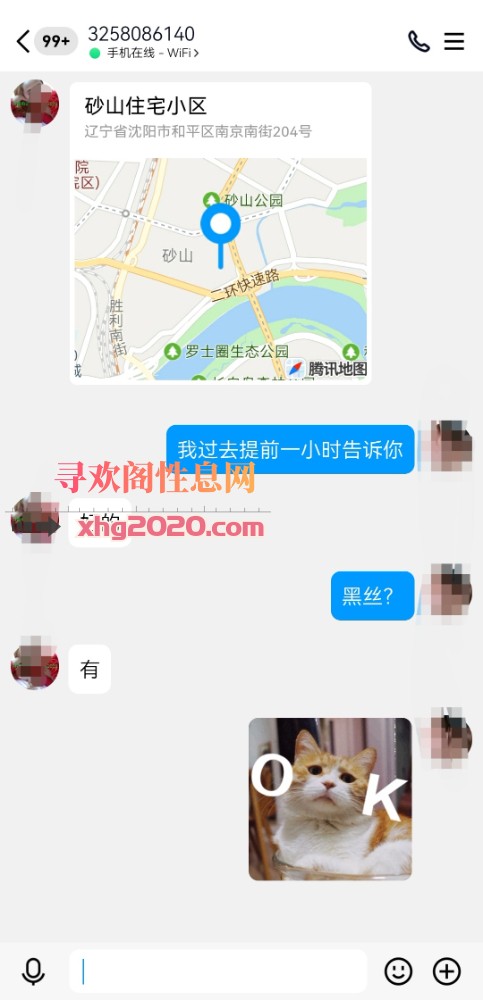 良家少妇