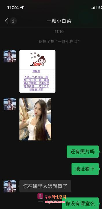 南山小白菜