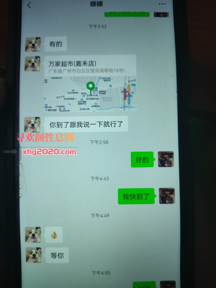 嘉禾望岗娜娜