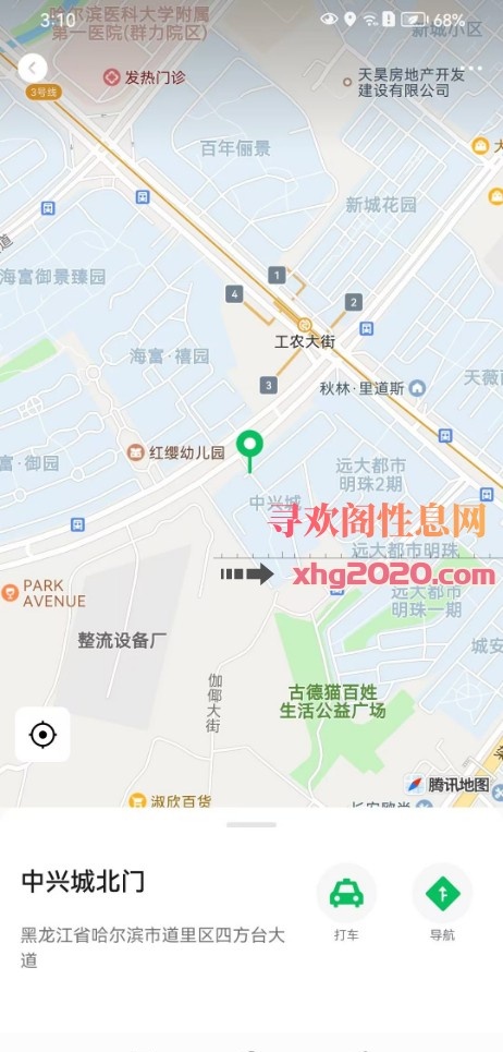 中央大街美女