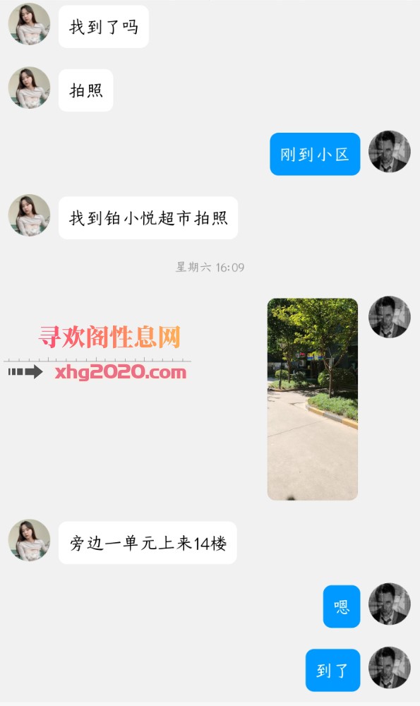 高新吐司