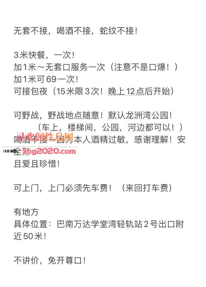 巴南佛系小兔子