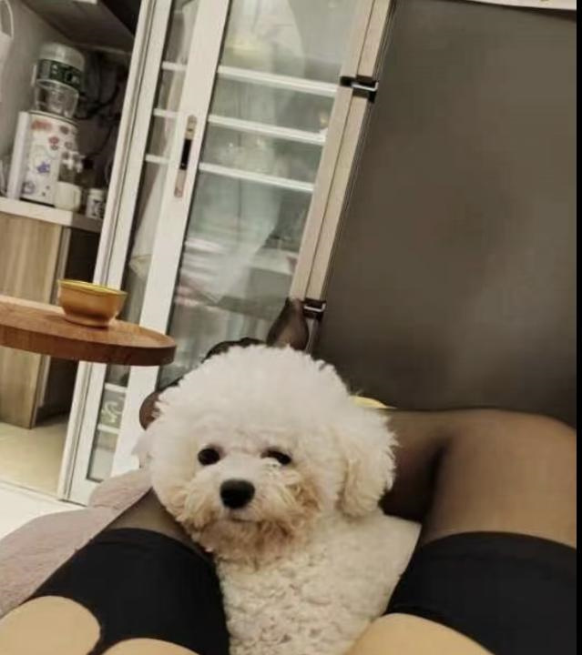 迈皋桥少妇