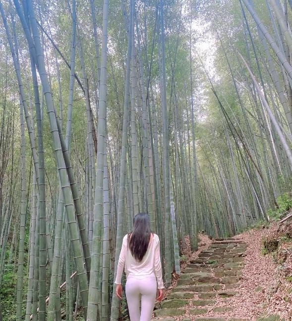 鄞州美女