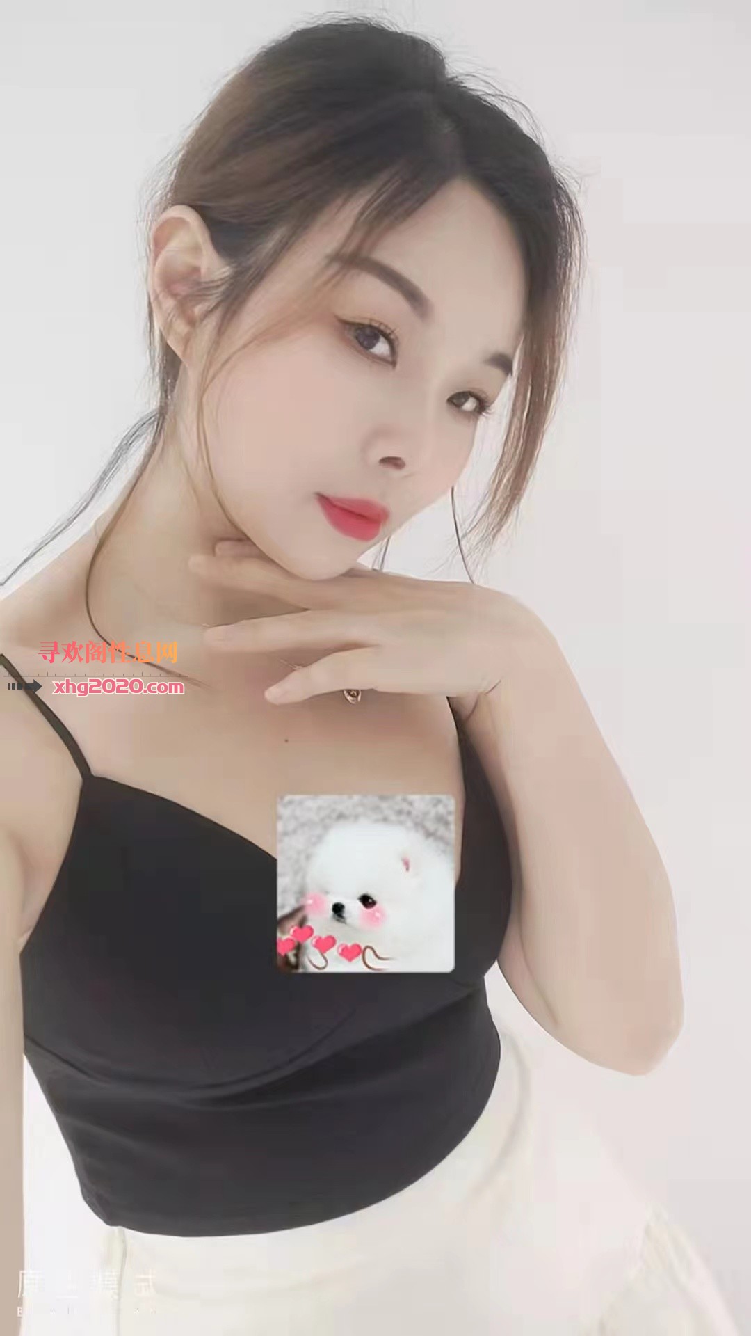 宝安佩佩