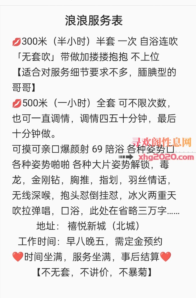 合肥小浪浪