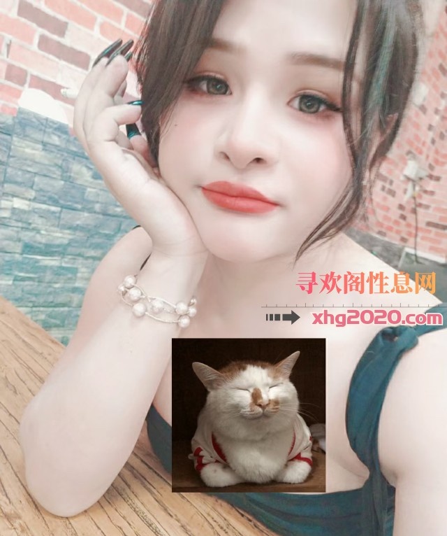 石家庄ts