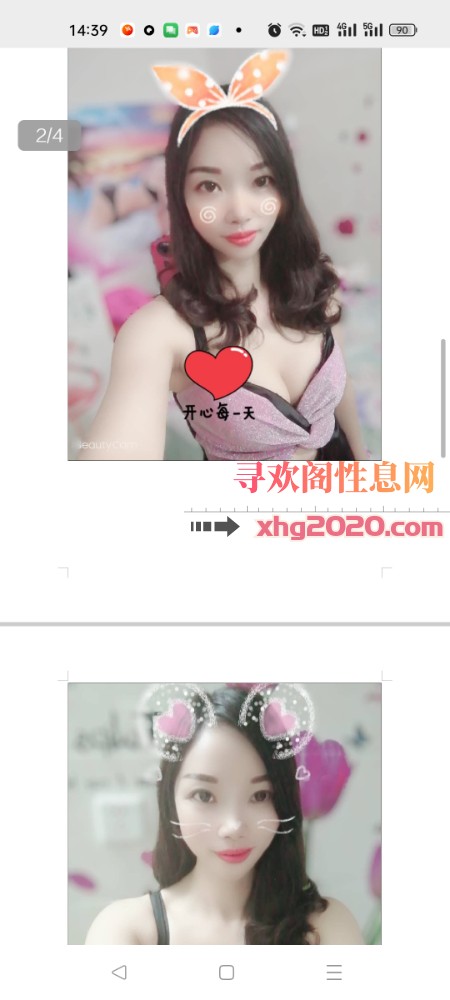 嘉禾慧晴儿