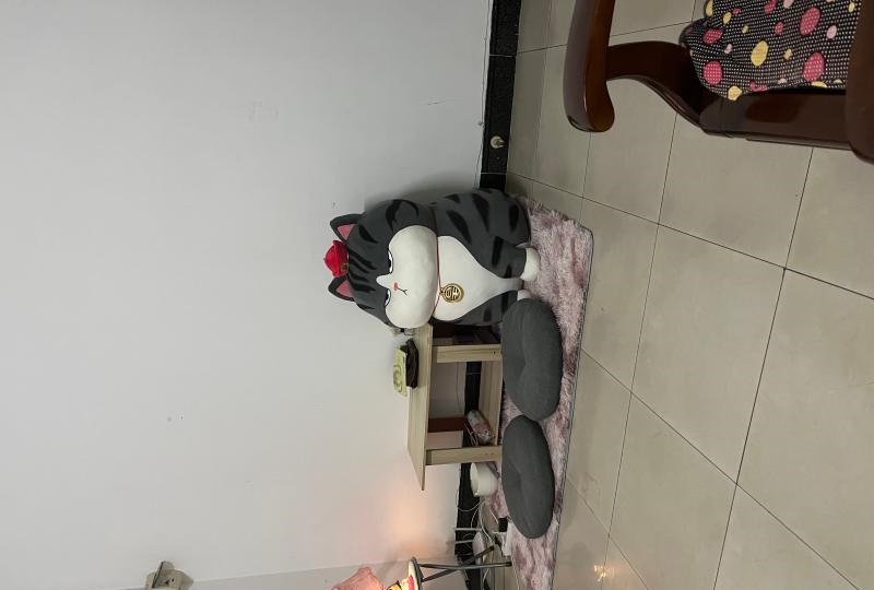 出击海珠莹莹