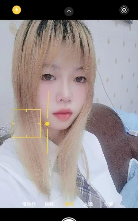 寮步林林
