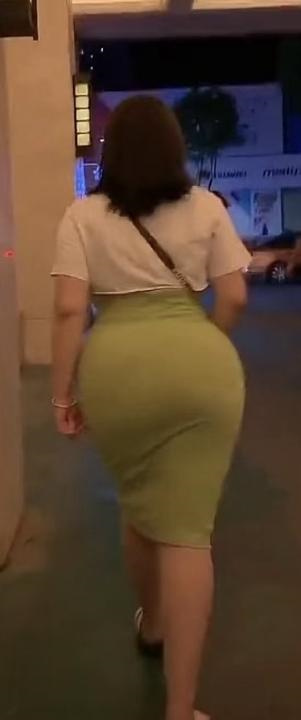 深圳海豚BBW