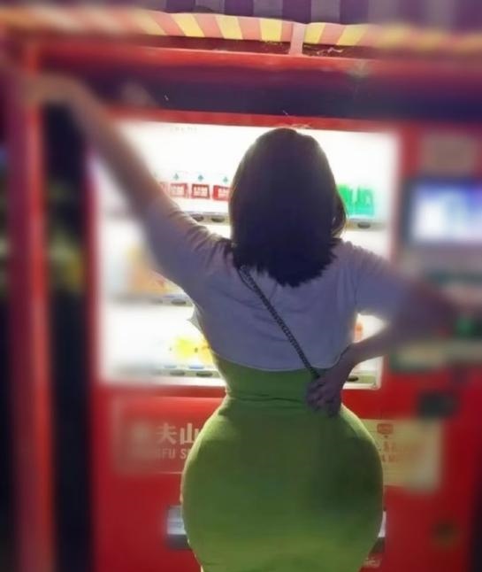 深圳海豚BBW