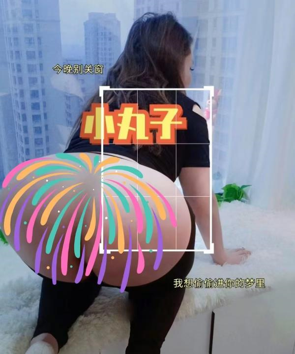 丰乳肥臀丸子