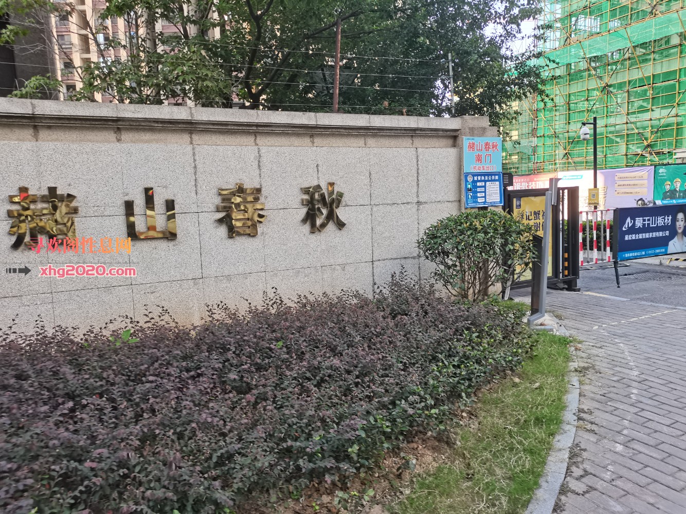 熟女可乐