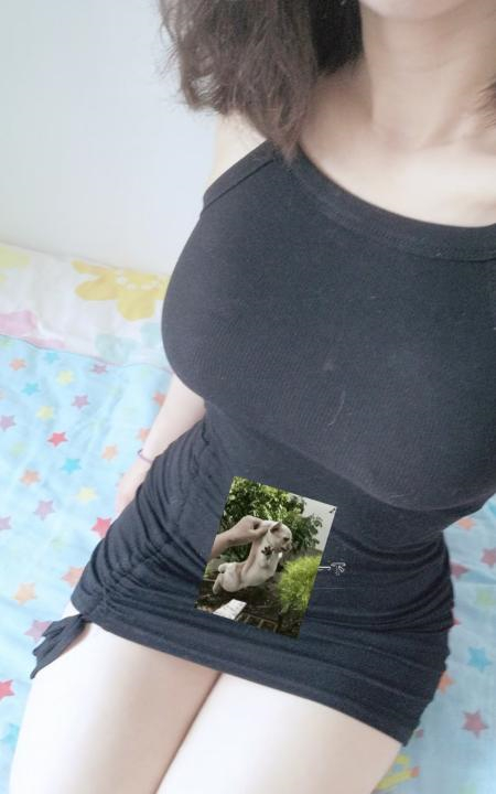 南山小野猫环保