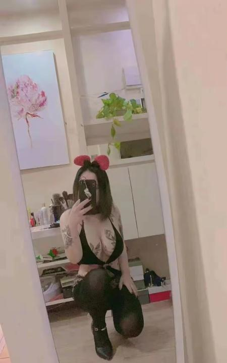 南昌小野猫