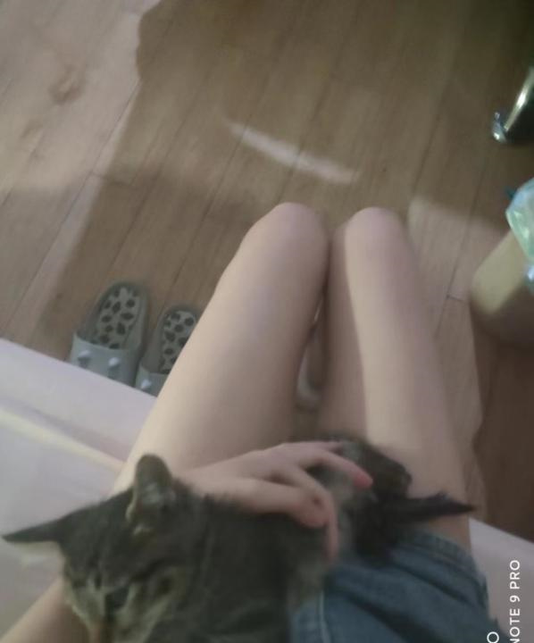 管城可爱小妹