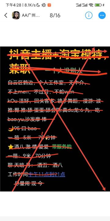 白云95双飞宝儿狸儿