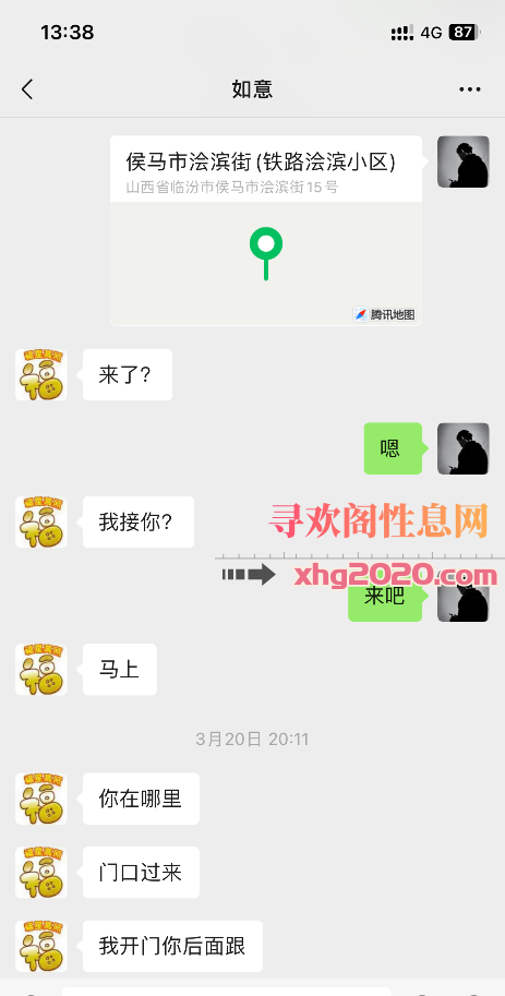 东北少妇