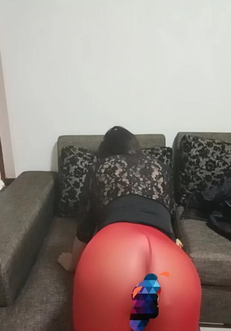 西青D奶楼凤