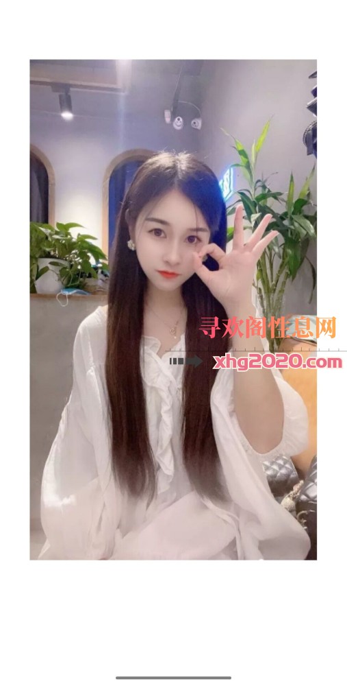 兴庆区盼盼