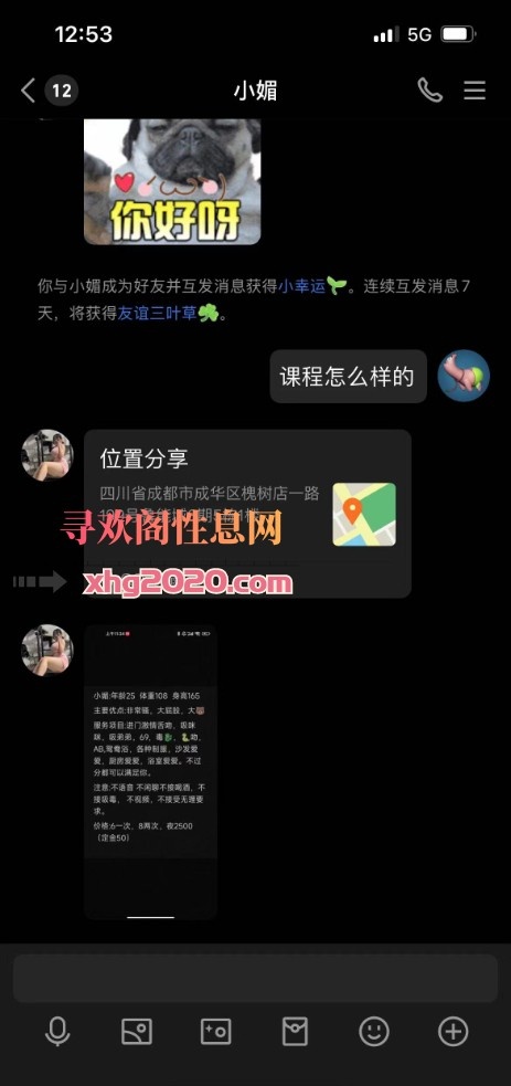 成都小妹