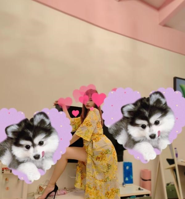 虎门燕儿