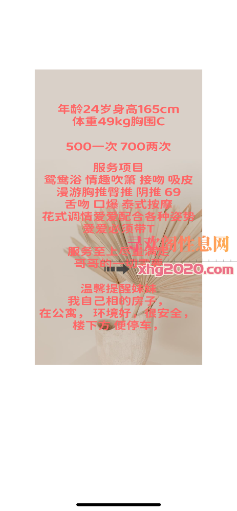 金牛圆圆