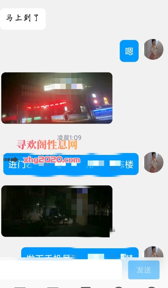 验证金凤个人妲己