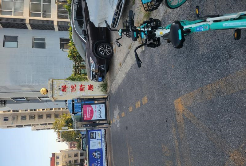 河东龙女