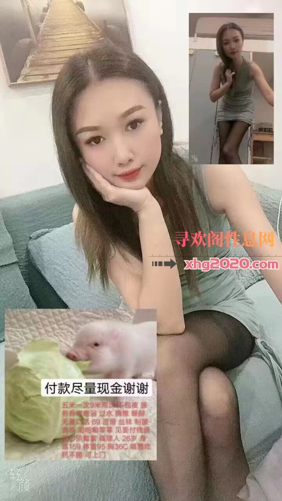 北仑富邦小白菜
