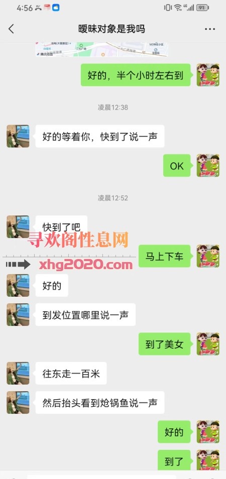 喵喵小胖妹
