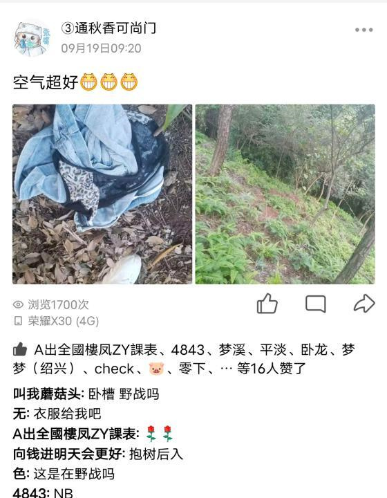 镇海三通秋香