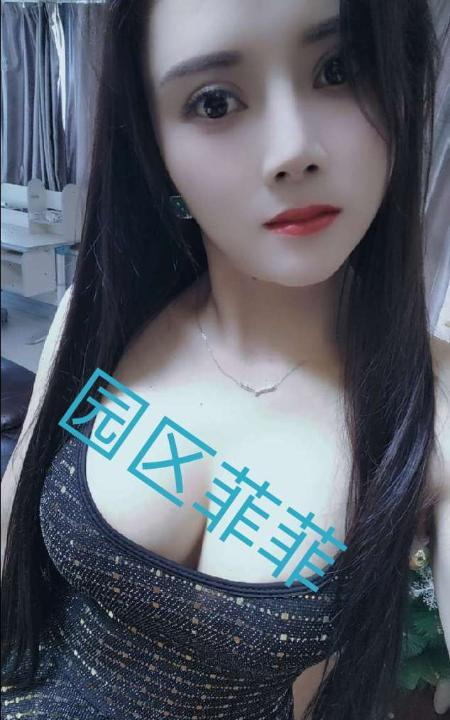 园区狐狸精
