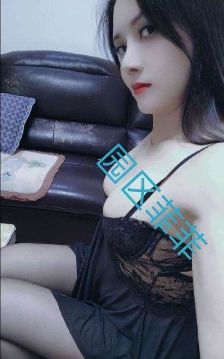 园区狐狸精