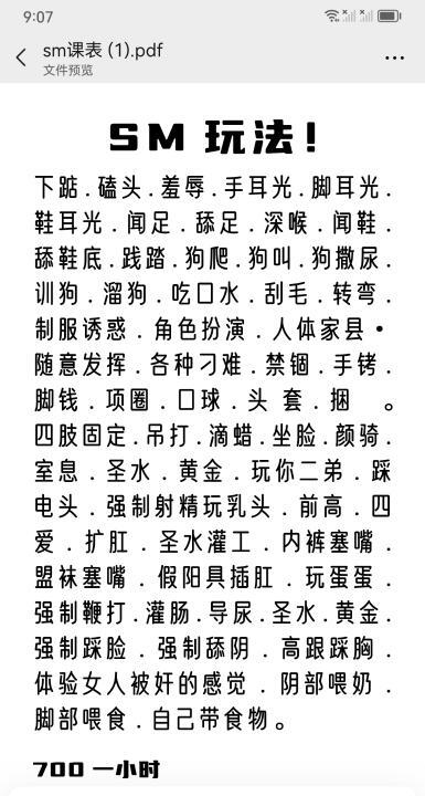 铁西SM桃子