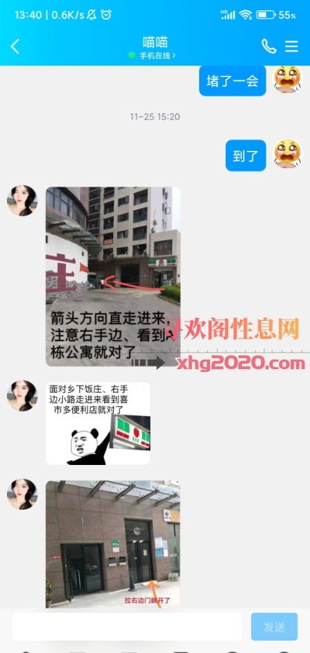 广州白云喵喵