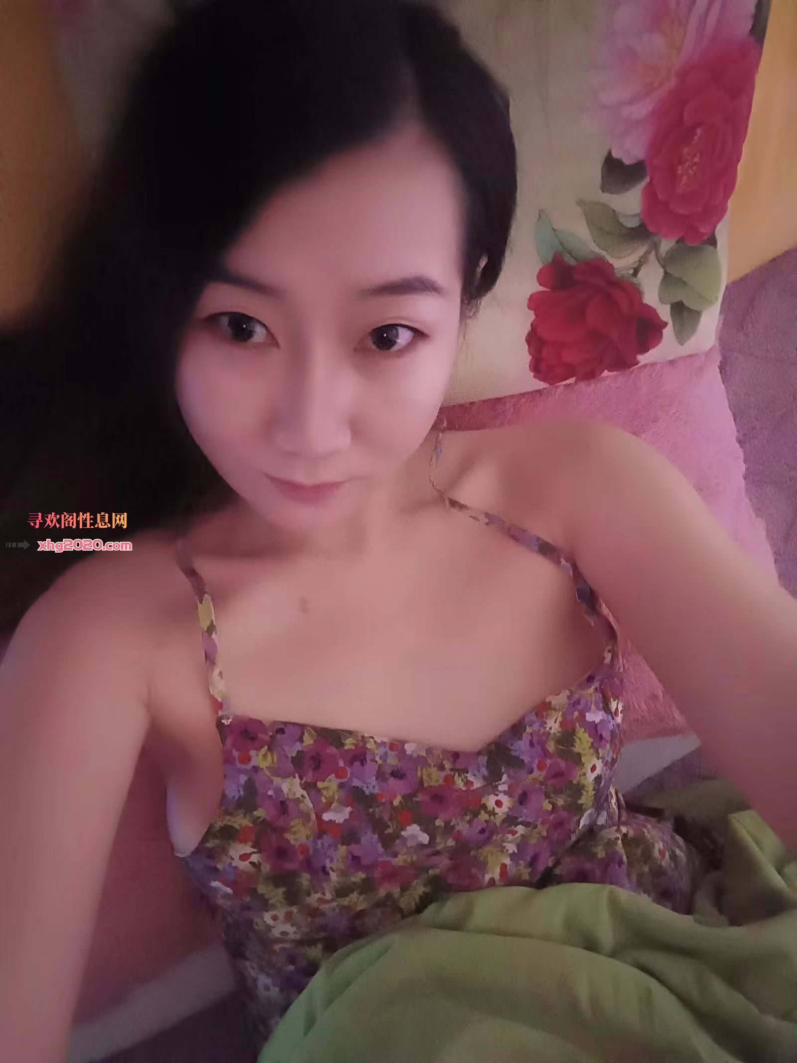 大东多情狐狸